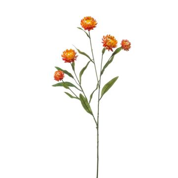 Rama decorativa de flor de paja SNAVIK, naranja, 70 cm