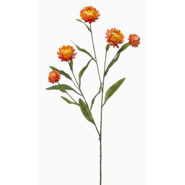 Rama decorativa de flor de paja SNAVIK, naranja, 70 cm