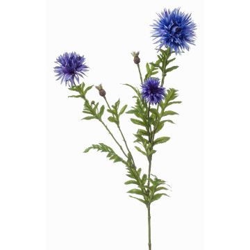 Rama decorativa de aciano BROLIX, azul claro, 100 cm