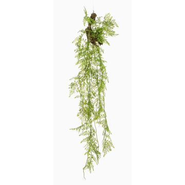 Planta colgante artificial Asparagus Plumosus SHALLON en rama, verde, 110 cm Planta colgante artificial Asparagus Plumosus SHALLON en rama, verde, 110 cm