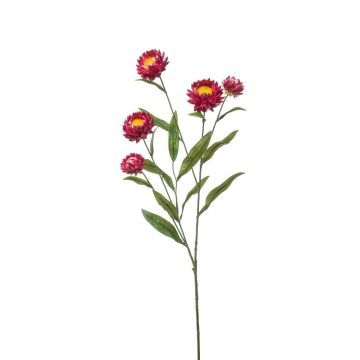 Rama decorativa de flor de paja SNAVIK, rosa, 70 cm