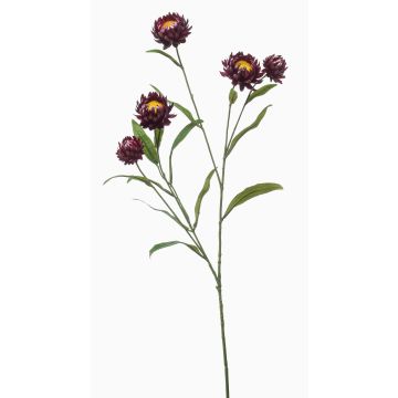 Rama decorativa de flor de paja SNAVIK, morada, 70 cm