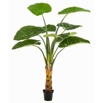 Planta artificial Alocasia Calidora NICAS, maceta decorativa, verde, 160 cm