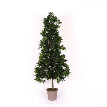 Decoración Pirámide de laurel cerezo KUSJENKA, tronco natural, frutos, 120 cm - Fabricado en Italia