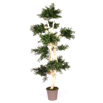 Árbol artificial acacia BOHDAN con tronco natural, crossdoor, verde, 185 cm - Fabricado en Italia