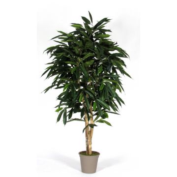 Longifolia artificial MARIANKA, troncos naturales, verde, 250 cm - Fabricado en Italia Longifolia artificial MARIANKA, troncos naturales, verde, 250 cm - Fabricado en Italia
