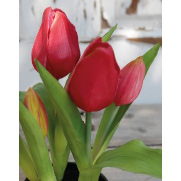 Tulipán artificial CAITLYN en maceta decorativa, fucsia-verde, 25cm, Ø2-6cm