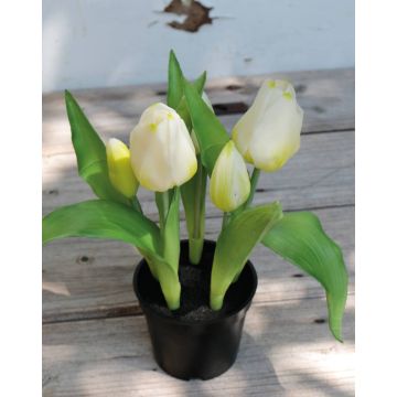 Tulipán artificial CAITLYN en maceta decorativa, blanco-verde, 25cm, Ø2-6cm