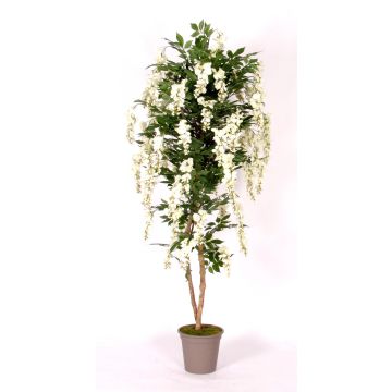 Decoración glicinia MALENKA, troncos naturales, con flores, blanco, 175 cm - Fabricado en Italia