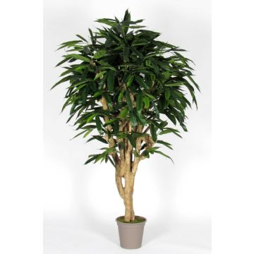 Longifolia decorativa RAFIKO, troncos naturales, verde, 175cm - Fabricado en Italia