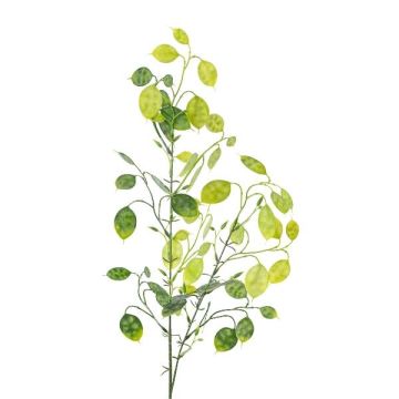 Rama artificial de hoja plateada DRULMI, verde, 75 cm