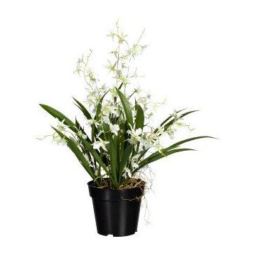 Flor artificial Oncidium GLIMBAR, raíces, blanco-verde, 60 cm