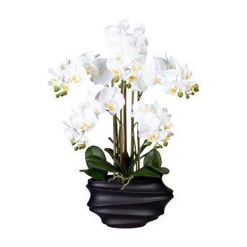 Orquídea Phalaenopsis artificial ZALBROK, jarrón decorativo negro, raíces, blanco, 75 cm