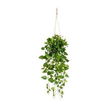 Filodendro Scandens artificial en maceta decorativa BLURA, 75 cm