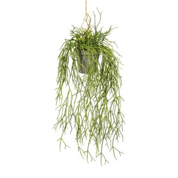Maceta colgante artificial Rhipsalis SKRAKY, maceta decorativa, colgante, verde, 60 cm