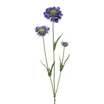 Rama decorativa de scabiosa ATLENTO, lila, 65 cm