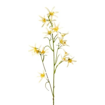 Rama decorativa Tweedia solanoides ZORHIL, amarillo metalizado, 75 cm