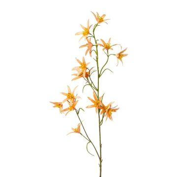 Rama decorativa Tweedia solanoides ZORHIL, naranja metalizado, 75 cm