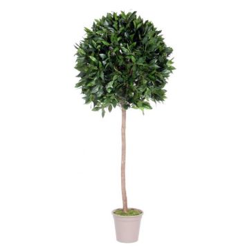 Laurel cerezo artificial esférico JUROTSCHKA, tronco real, frutos, 125 cm, Ø 45 cm - Fabricado en Italia
