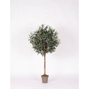 Olivo artificial MILINO, tronco natural, con frutos, 125 cm - Fabricado en Italia Olivo artificial MILINO, tronco natural, con frutos, 125 cm - Fabricado en Italia