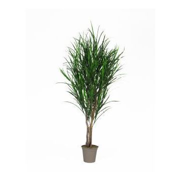 Decoración de paja china MALINDA, troncos naturales, verde, crossdoor, 225 cm - Fabricado en Italia