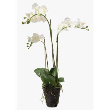 Orquídea Phalaenopsis artificial PABLA bola tierra, blanco, 70cm, Ø8-10cm Orquídea Phalaenopsis artificial PABLA bola tierra, blanco, 70cm, Ø8-10cm