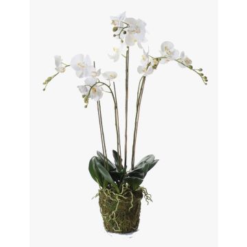 Orquídea Phalaenopsis artificial PABLA lecho musgo, blanco, 90cm, Ø10-13cm Orquídea Phalaenopsis artificial PABLA lecho musgo, blanco, 90cm, Ø10-13cm