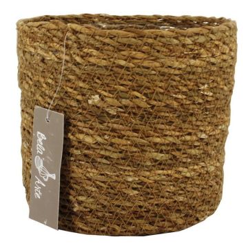 Cesta para flores AMPARO, algas marinas, beige, 14 cm, Ø 16,5 cm
