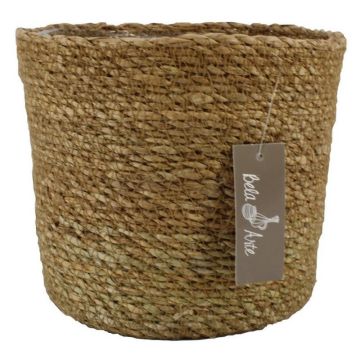 Cesta para flores AMPARO, algas marinas, beige, 19 cm, Ø 21 cm