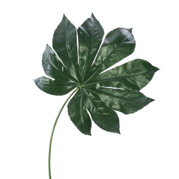 Hoja de aralia artificial FARIS, verde, 55cm