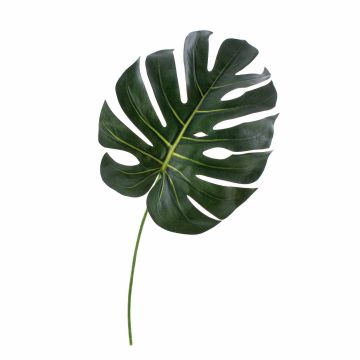 Hoja de filodendro artificial UMBERTO, verde, 55cm