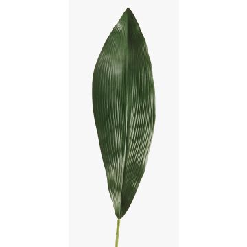Hoja de Aspidistra sintética PAISA, 75cm