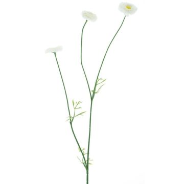 Rama decorativa Bellis NIKSA, crema, 55 cm Rama decorativa Bellis NIKSA, crema, 55 cm