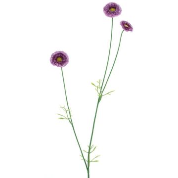Rama decorativa de flores Bellis NIKSA, lila oscuro, 55 cm