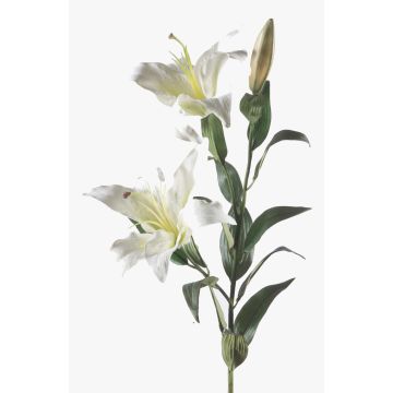 Lirio artificial KIRSTEN, blanco, 85cm, Ø15cm Lirio artificial KIRSTEN, blanco, 85cm, Ø15cm