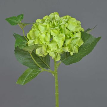 Flor artificial hortensia VOSTE, verde, 45 cm