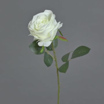 Rosa sint&eacute;tica SIMONY, crema, 45cm, &Oslash;8cm