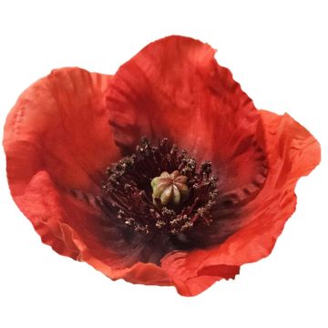 Amapola artificial FASDIN, roja, 75 cm