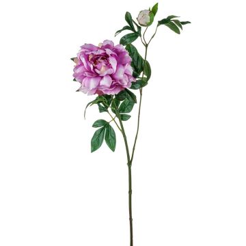 Rama artificial peonía ZEXLIN, lila-rosa, 70 cm