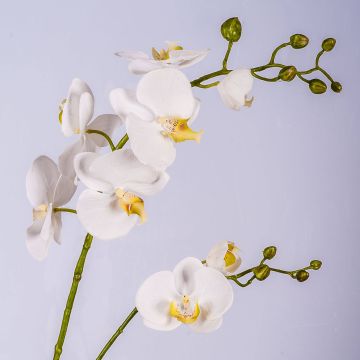 Rama orquídea Phalaenopsis artificial LAHNA, blanco, 95cm, Ø5-10cm