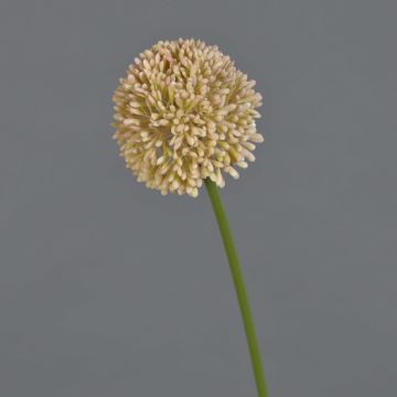 Allium artificial BAILIN, rosa-crema, 40cm