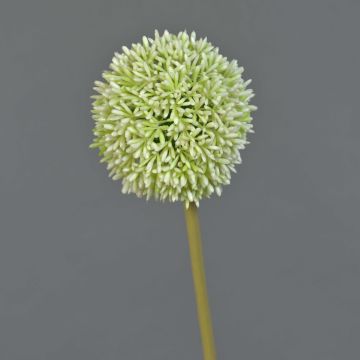 Allium artificial BAILIN, verde crema, 65cm