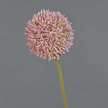 Allium artificial BAILIN, rosa-crema, 65cm