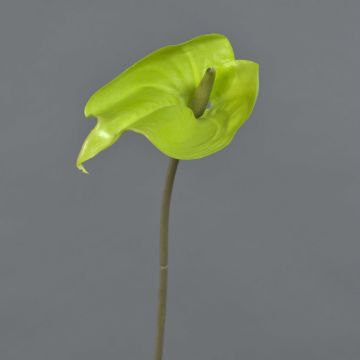 Anthurium artificial FEIWU, verde claro, 65cm