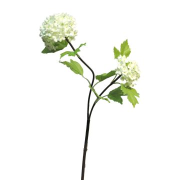 Rama decorativa de viburnum ALUO, crema, 50cm