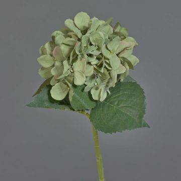 Hortensia artificial FUXIANG, verde-rosa, 50cm