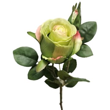 Rosa artificial BARIADY, verde-rosa, 35 cm