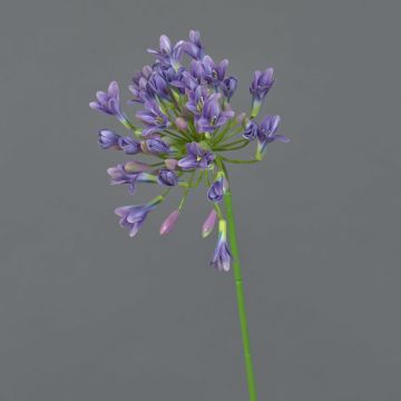 Agapanthus artificial ASONG, lila-azul, 75cm