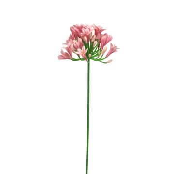 Agapanthus artificial ASONG, rosa, 75cm