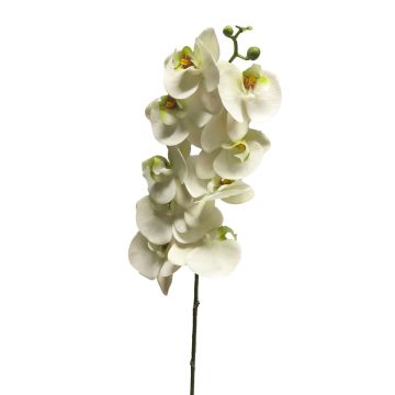 Rama artificial de orquídea Phalaenopsis SONGYA, blanca, 105cm Rama artificial de orquídea Phalaenopsis SONGYA, blanca, 105cm